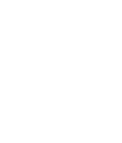 Icone de fleur blanche